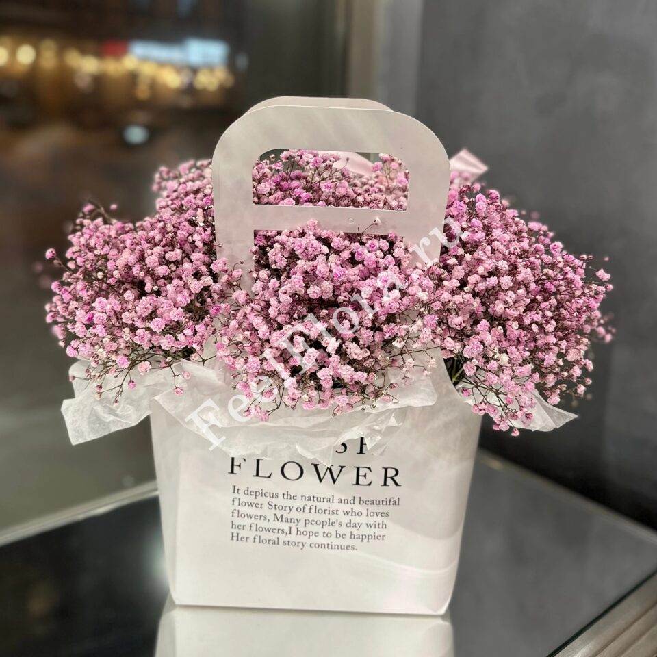 Паскаль